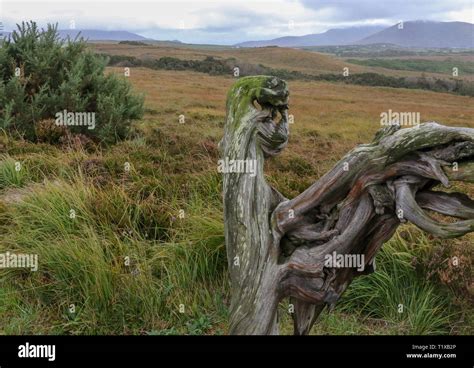 Irish Bog Oak Sculptures